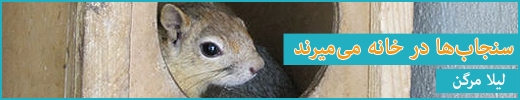 چندرسانه ای چندرسانه ای